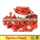 goji berry wolfberry