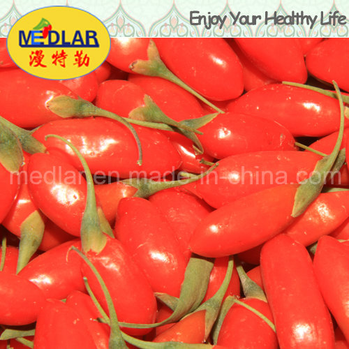 Medlar Organic Goji Chinese Wolfberry Fruit